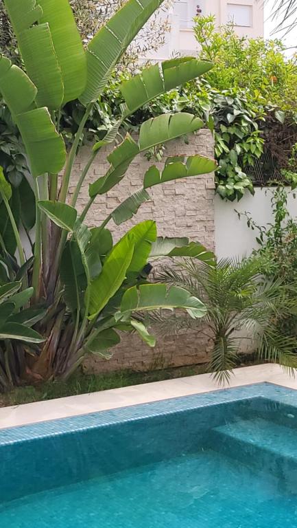 una piscina con un montón de plantas al lado en Belle maison à proximité de la mer, en La Marsa