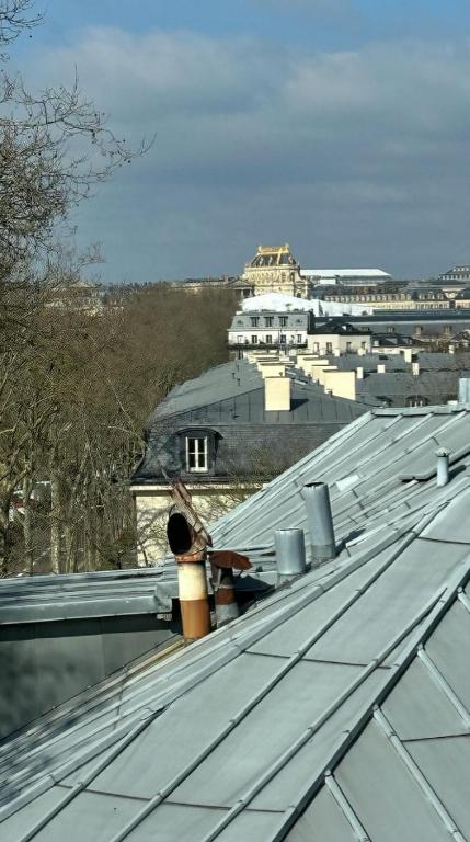 a view of the roofs of a building at Amazing view on the Versailles Palace - Paris 15min in Versailles