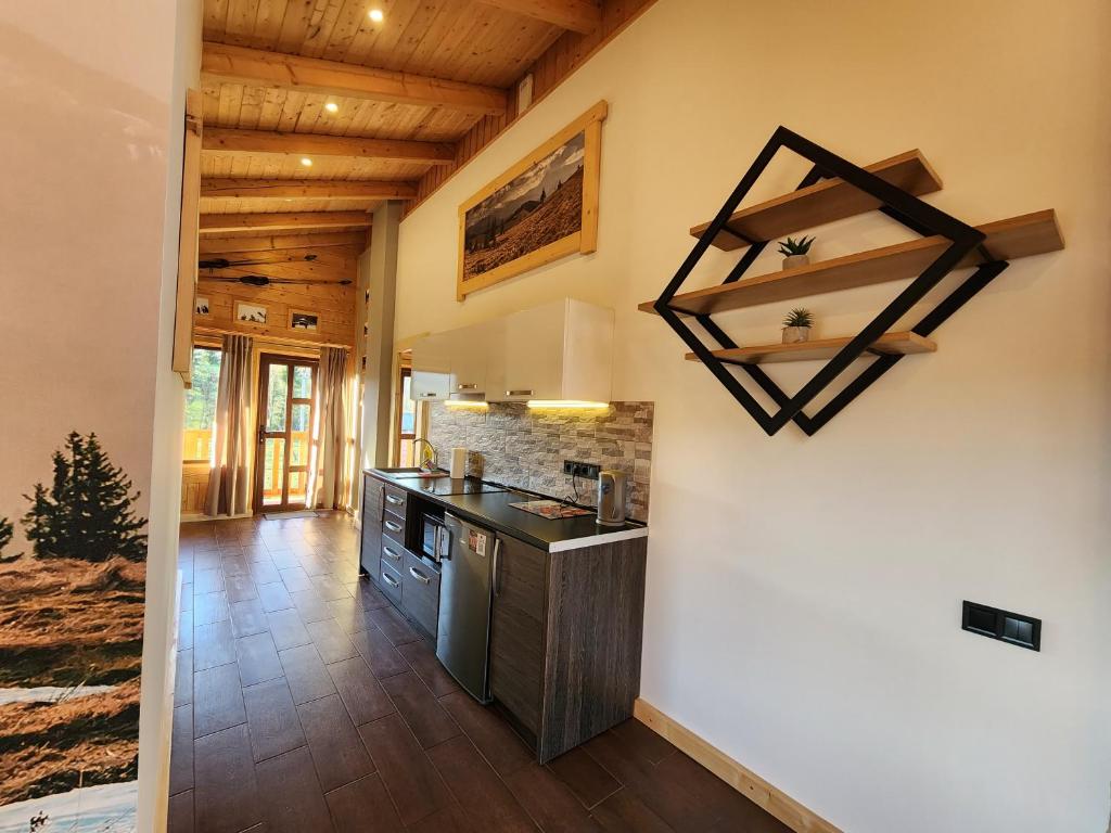 Kuchyň nebo kuchyňský kout v ubytování Apartments Chalet Girska Hatyna