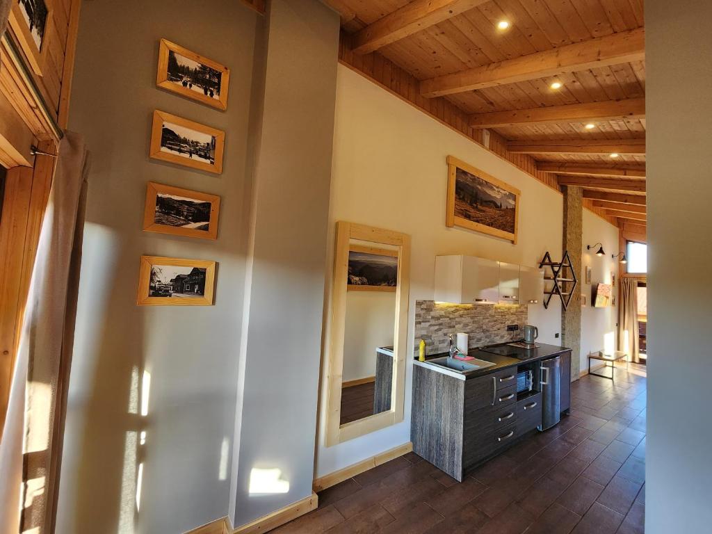 Kuchyň nebo kuchyňský kout v ubytování Apartments Chalet Girska Hatyna