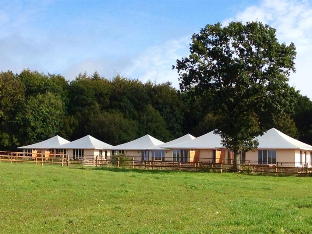 een rij witte tenten in een veld bij Oase Friedensthal in Friedenstal