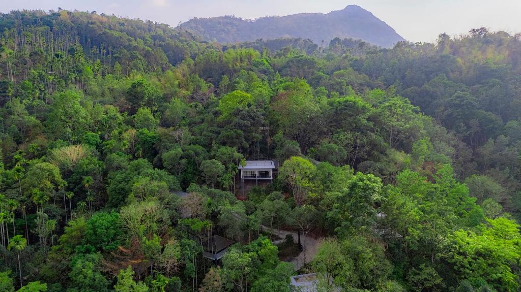 The Hive, Wayanad - Doppelzimmer Mit Gartenblick