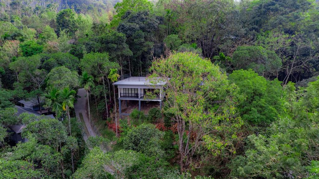 uma vista aérea de uma casa no meio de uma floresta em The Hive, Wayanad em Wayanad