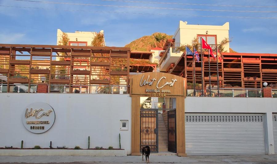 a dog is standing in front of a building at west coast boutique hotel in Bodrum City