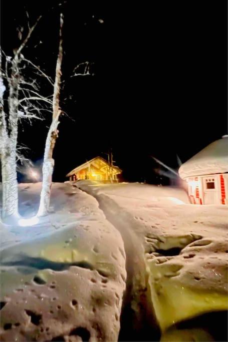 eine schneebedeckte Straße in der Nacht mit einem Baum und Gebäuden in der Unterkunft Mökki luonnon keskellä. in Tervola