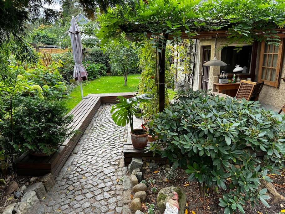 a garden with an umbrella and some plants at Cottage mit Garten in Michendorf