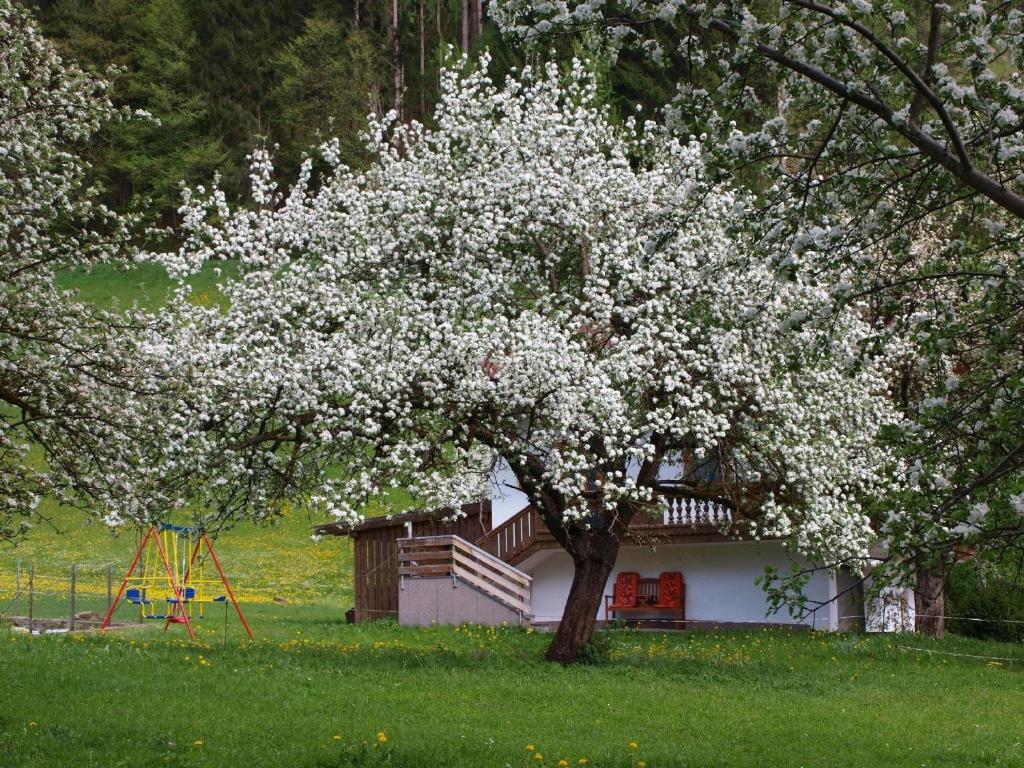a tree with white flowers in front of a house at Gemütliches Ferienhaus in Hart Im Zillertal mit Garten, Terrasse und Grill in Hart im Zillertal