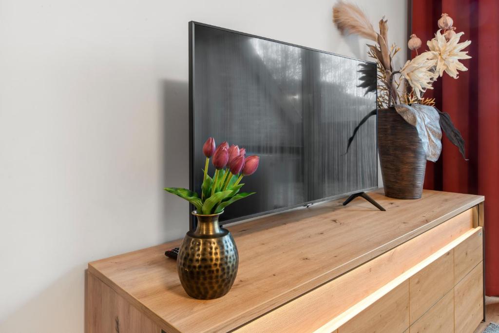 TV a/nebo společenská místnost v ubytování Ferienwohnung im Zemmer