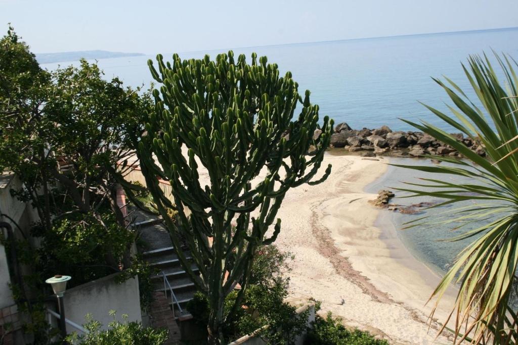 una palma su una spiaggia sabbiosa vicino all'oceano di Ferienwohnung für 6 Personen ca 100 qm in Pizzo, Kalabrien Provinz Vibo Valentia a Pizzo