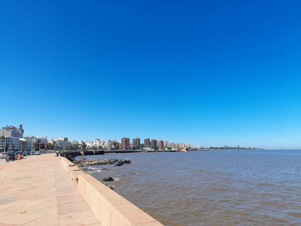 a view of the city from the beach at Habitación privada en apto cat friendly in Montevideo