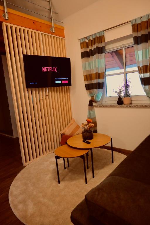 TV a/nebo společenská místnost v ubytování Galeriewohnung Vierseithof