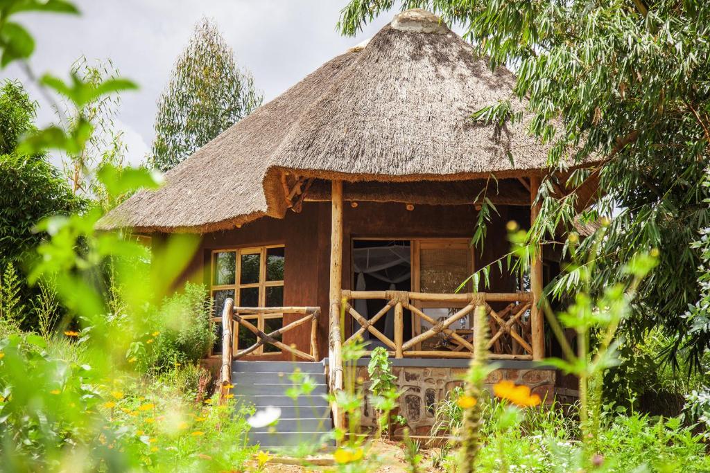 une petite cabane au toit de chaume dans l'établissement Rutete Eco Lodge, à Rwinkwavu