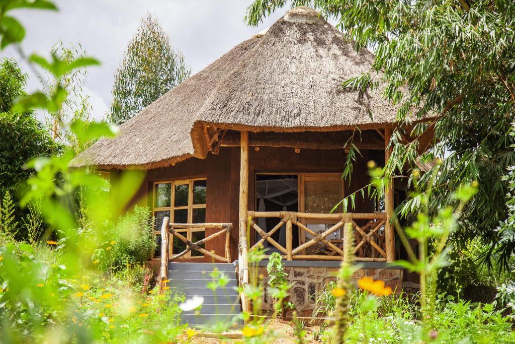 Rutete Eco Lodge - Hizvo