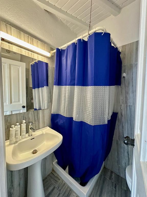 A bathroom at Beachside studio Ornos area
