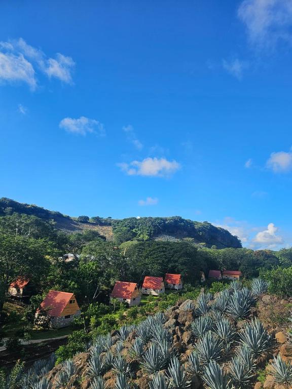 Příroda nedaleko hotelu