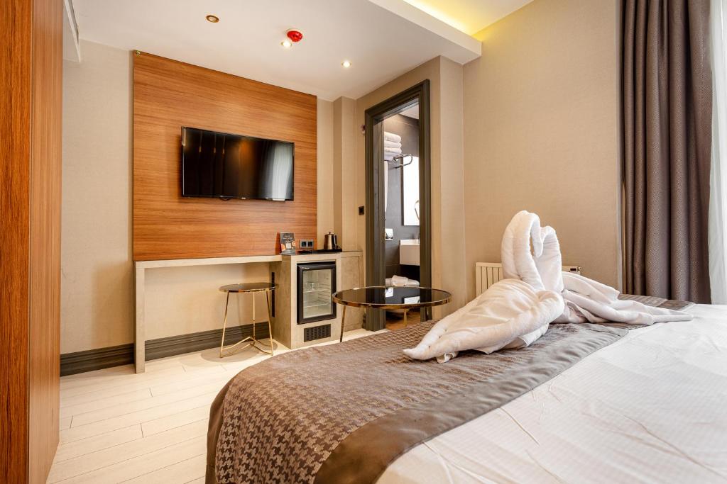 TV a/nebo společenská místnost v ubytování Santra Hotel
