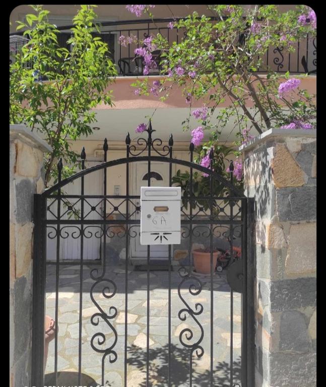 Butterfly Studio