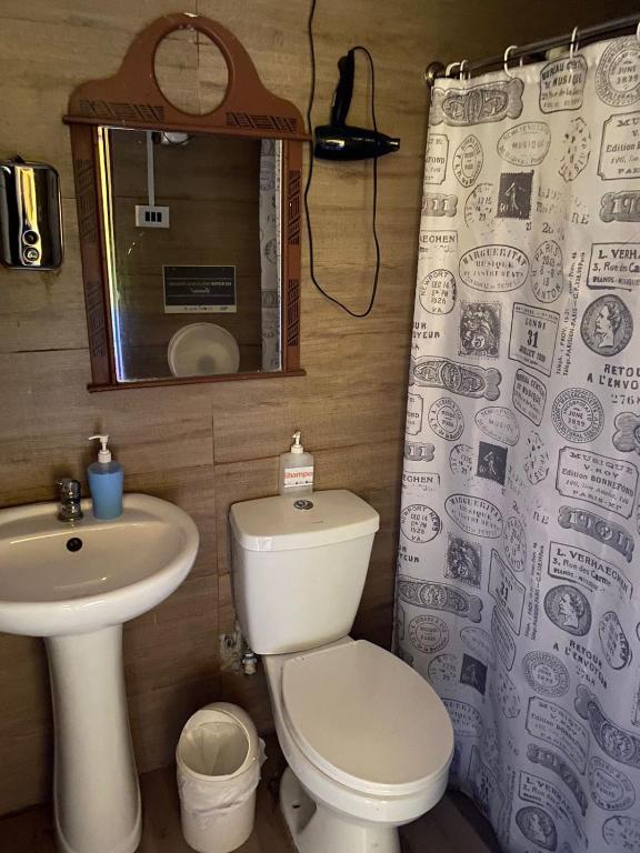 Bagno di Hostal Radal Molina