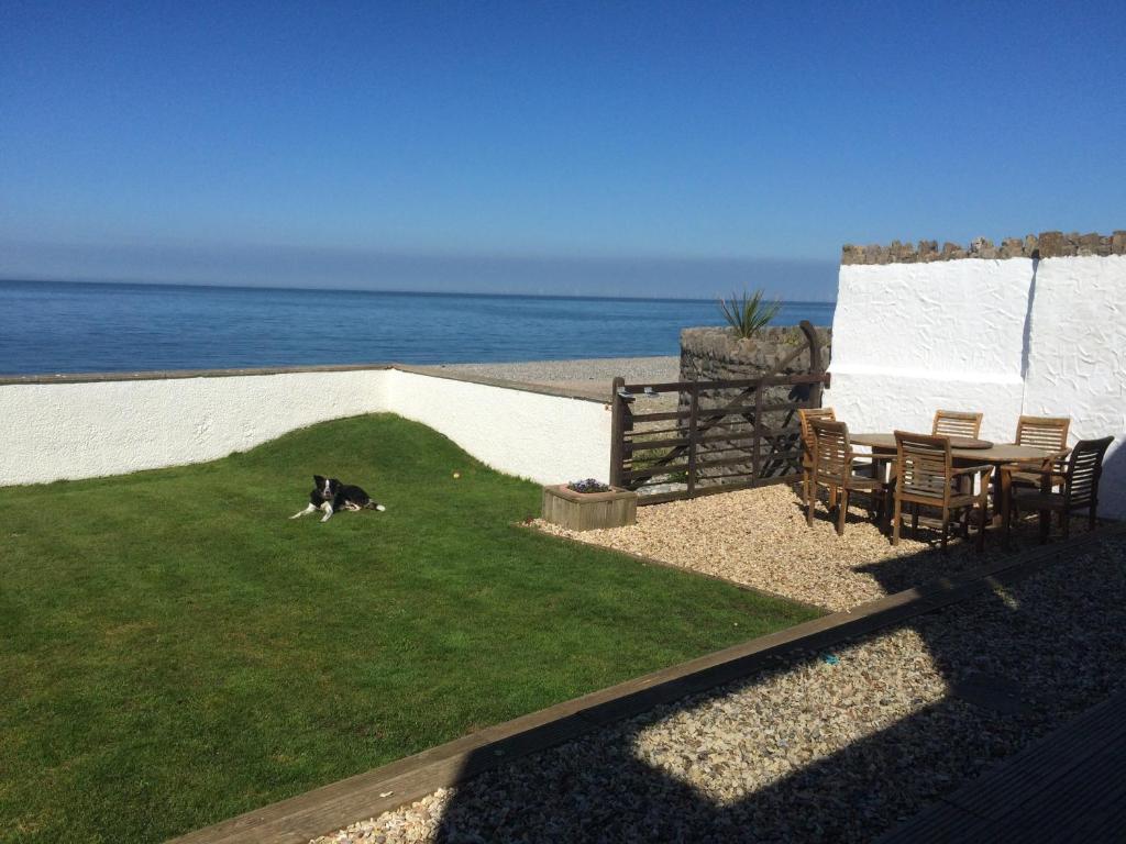 a dog running on the grass near the beach at Superb Cintra Beachside Apartments in Llandudno