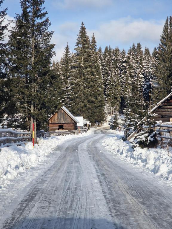 eine schneebedeckte Straße vor einer Hütte in der Unterkunft Forest Apartments Pokljuka in Zgornje Gorje