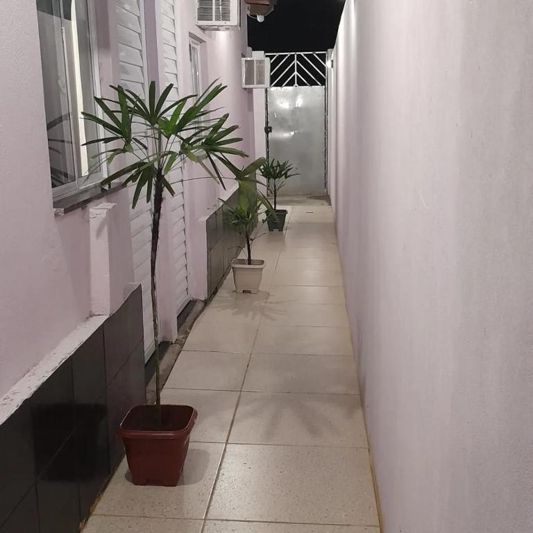 un couloir avec deux plantes en pot sur le côté d'un bâtiment dans l'établissement Pousada Estelita, à Itaparica Town