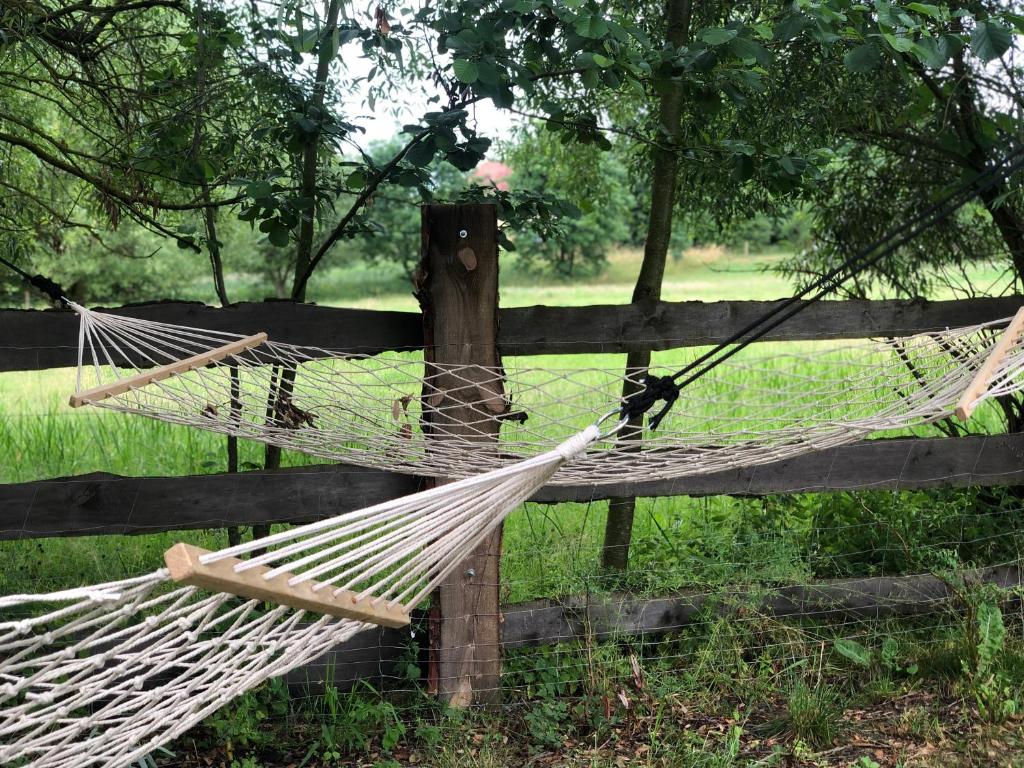 Ogród w obiekcie Domki nad rzeką Ełk