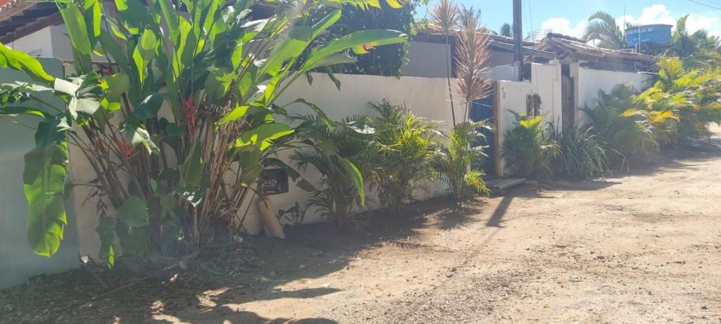 Jardin de l'établissement Casa Recanto Coqueiral