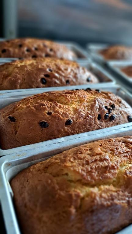 Hotel Napoleon - Resim 29