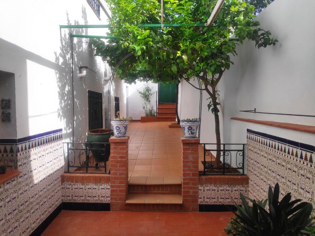 a hallway with stairs and plants in a building at Casa Virgen de Gracia in Archidona