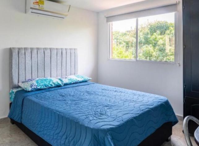Легло или легла в стая в CJC Brasil