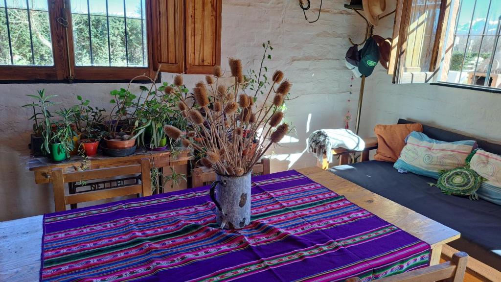 Aire de Barreal Hostel Andino