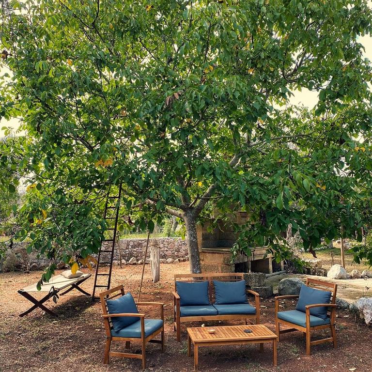 Zahrada ubytování Masseria Borgo del Gallo