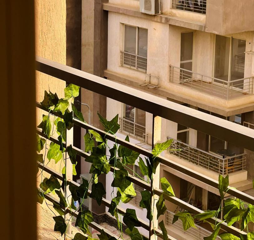 Balkón nebo terasa v ubytování A room in a shared apartment in New Cairo, Al-Rehab
