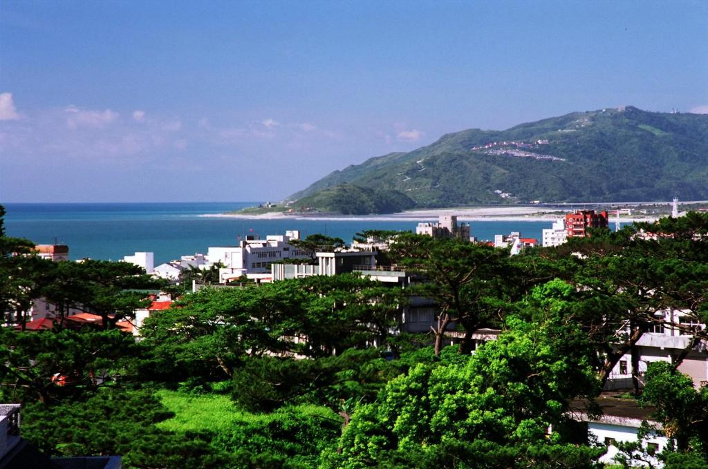 a view of a city with the ocean and mountains at Zhileju Homestay in Hualien City