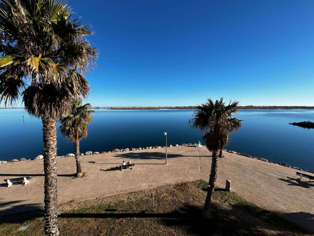 une plage avec des palmiers et une grande étendue d'eau dans l'établissement Appartement coquet avec parking, 4 couchages - FR-1-784-4, à Gruissan