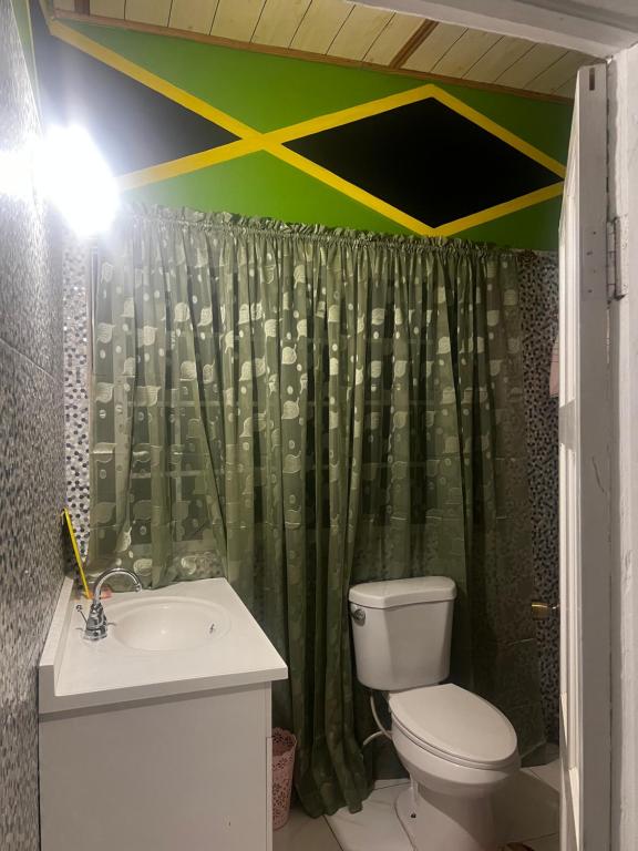 a bathroom with a toilet and a green shower curtain at Hellshire Heights in Boscobel