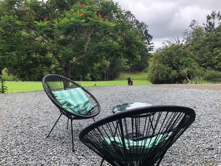 Zahrada ubytování Tiny House Farmstay Mount Warning