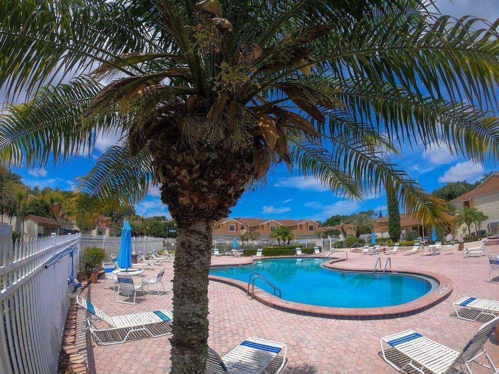 オーランドにあるStunning Ventura Condoの椰子の木