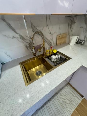 潘丹的住宿－ZenStay Retreats Private Luxury Beach House Rental，一个带金色水槽的厨房台面