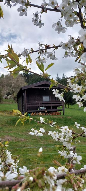Zahrada ubytování Chata na samotě, Šumava