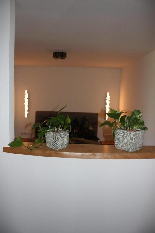 Posezení v ubytování Villa Waidblick