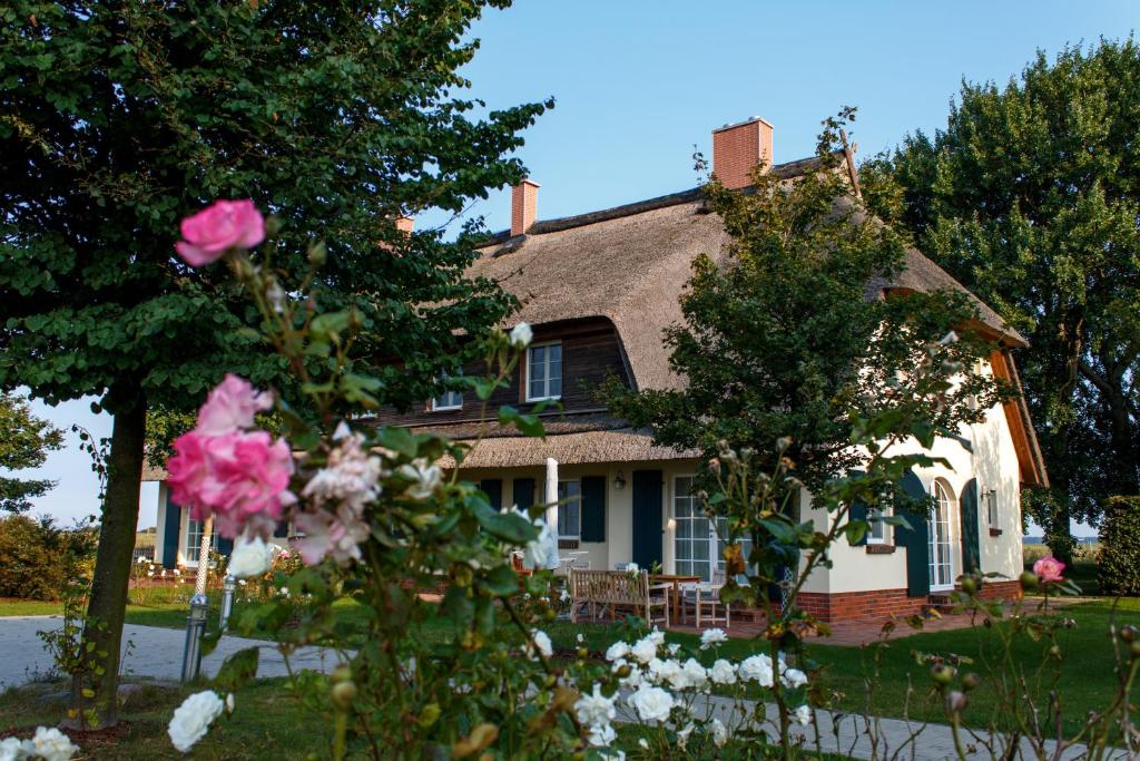 ein Haus mit rosa Rosen davor in der Unterkunft Rügen-Ferienhof in Ummanz