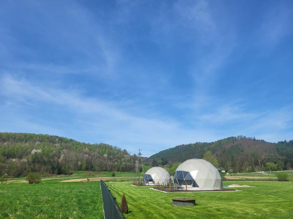 Příroda nedaleko luxury tent