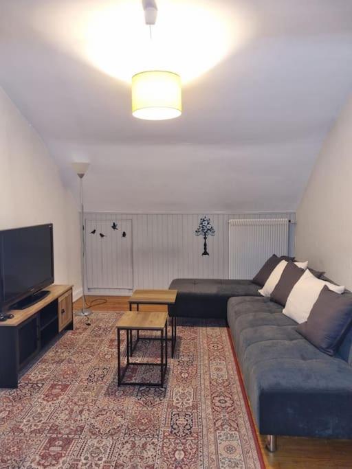 un salon avec un canapé bleu et une télévision dans l'établissement Appartement centre-ville (Chez Antoine), à Colmar