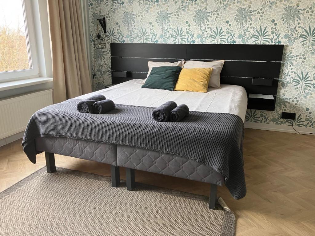 Un dormitorio con una cama con dos bolas. en ROOM 10 en Valmiera