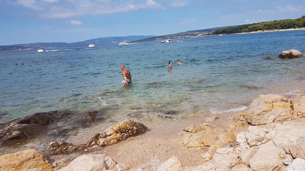 Przyroda w pobliżu tego apartamentu