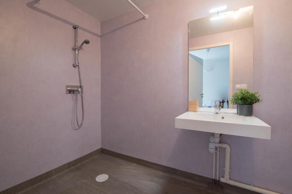a bathroom with a sink and a shower with a mirror at Elodie - T2 proche gare in Le Mans