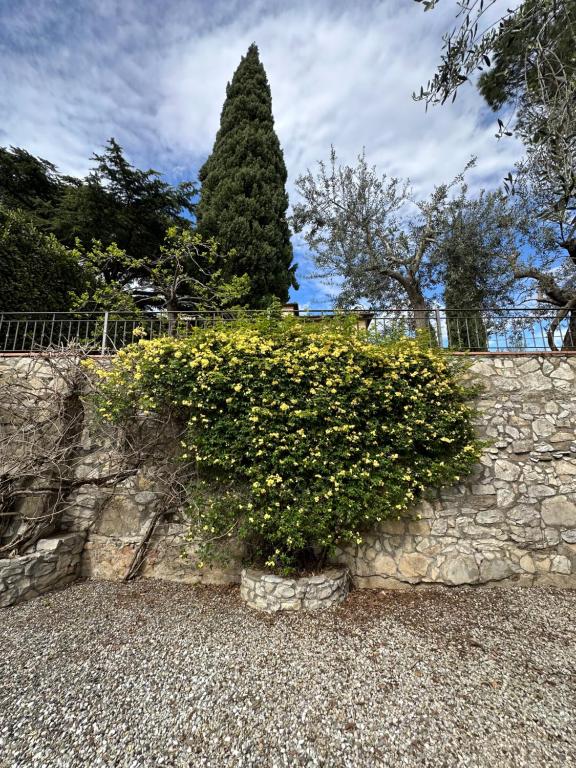 une brousse avec des fleurs devant un mur de pierre dans l'établissement Monastero del 600 vista Firenze, à Calenzano