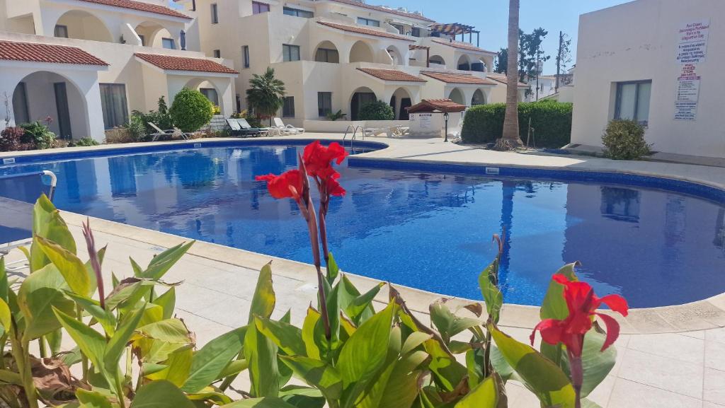 Bazén v ubytování Blue Pearl holiday apartments with pool in kato paphos nebo v jeho okolí