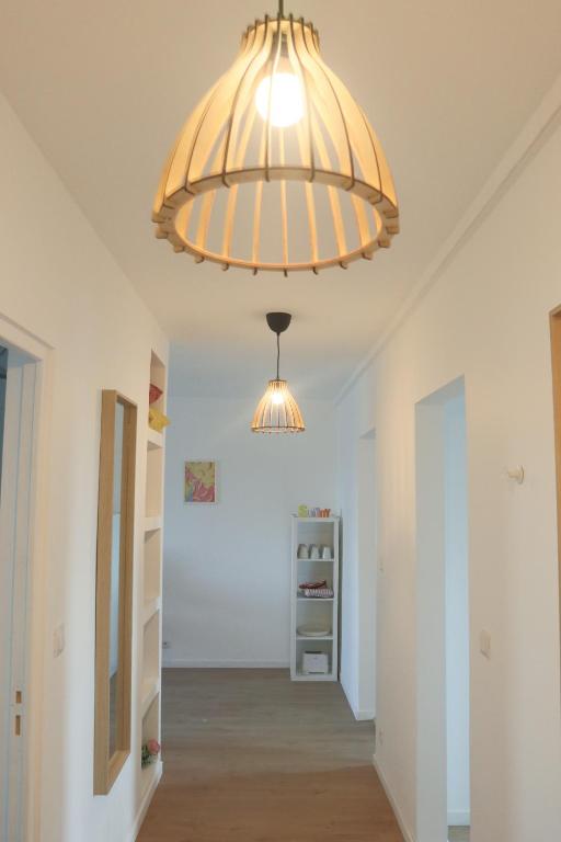LE SUNNY, Mulhouse centre – photo 23